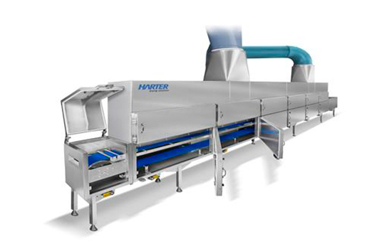 Belt dryer for continuous or endless products