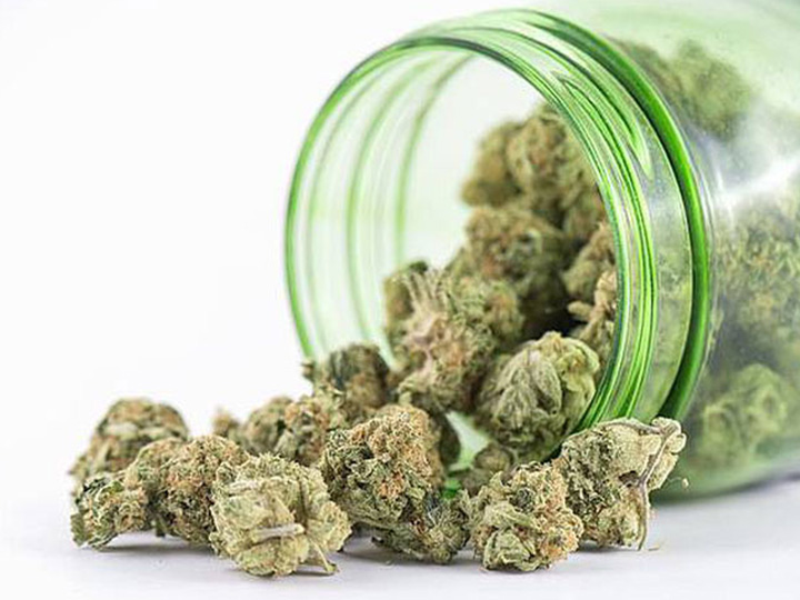 Medizinalcannabis, Kräuter und Gräser