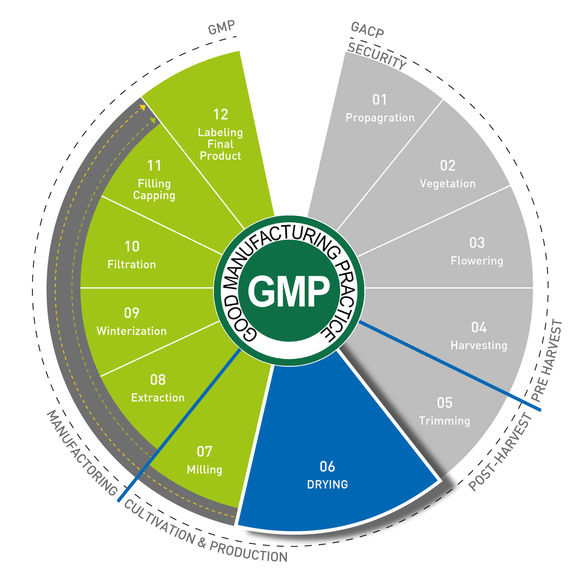 Dryers for Medical Cannabis: Drying in the GMP Process