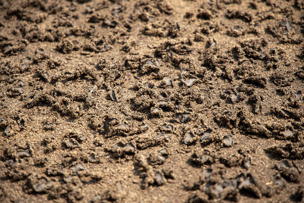 Sludge,Drying,Bed,In,Waste-water,Treatment,Plant,System,,Brown,Sand