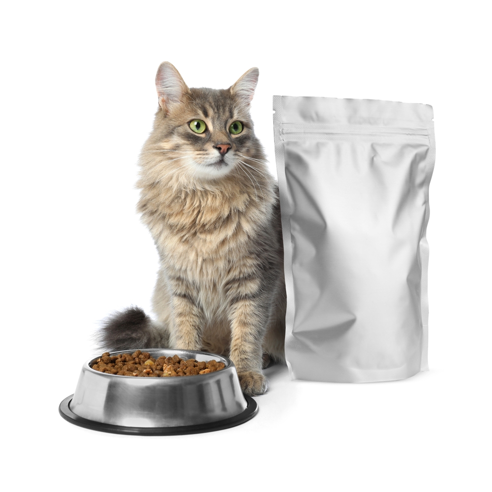 Cute,Cat,Sitting,Near,Foil,Package,And,Bowl,Of,Dry