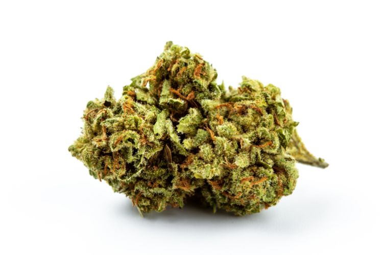 harter-pharma-medizin-cannabis-750-500